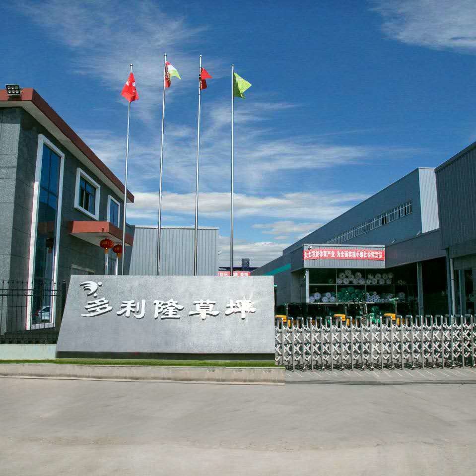 China Dorelom artificial grass group co,ltd. Bedrijfsprofiel