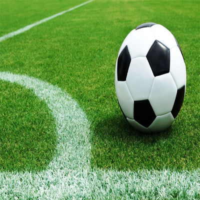 Natuurlijke niet-opvulbare 50 mm 60 mm voetbalgras voor voetbalstadion en sportschool