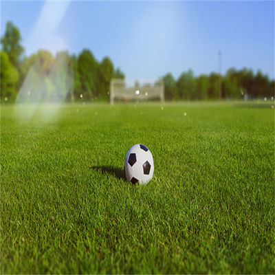 Natuurlijke niet-opvulbare 50 mm 60 mm voetbalgras voor voetbalstadion en sportschool