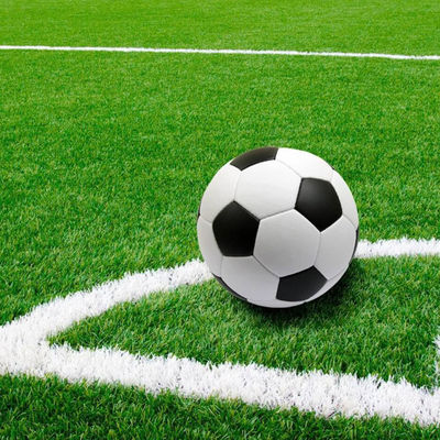 16.5 Steekpercentage Mini voetbalveld Kunstgras voor sportschool Buiten sportvloeren