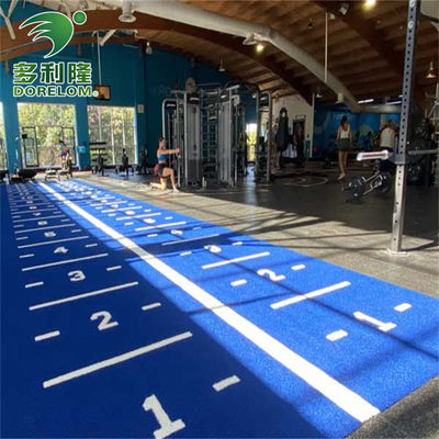 Tuin Sport Gym vloer mat met Dorelom logo aangepast slee track kunstgras