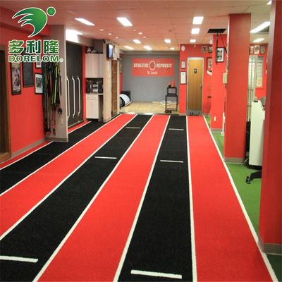 Tuin Sport Gym vloer mat met Dorelom logo aangepast slee track kunstgras