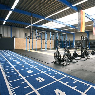 CE ISO9001 ISO14001 gecertificeerd Dorelom Training Athletic Turf Mat voor fitnessvloeren