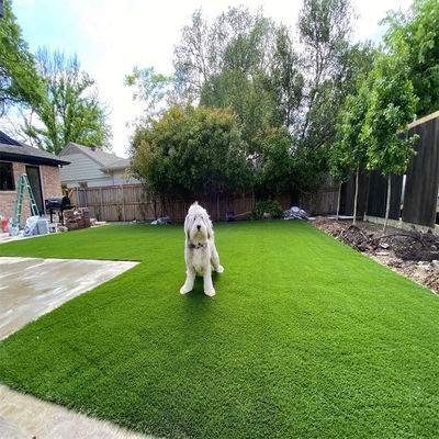 25 mm 30-50 mm Pile Height Groen Rood Zwart Blauw Wit Synthetisch Gras tapijtrol