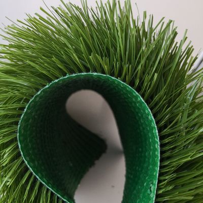 50 mm hoog voetbalveld kunstgras met SGS-certificering Competitive
