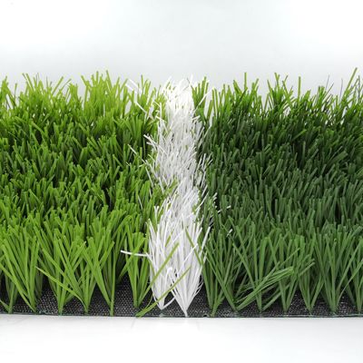 Voetbalveld W-vorm Bi-color UV-bestendige PE-monofilament kunstgras