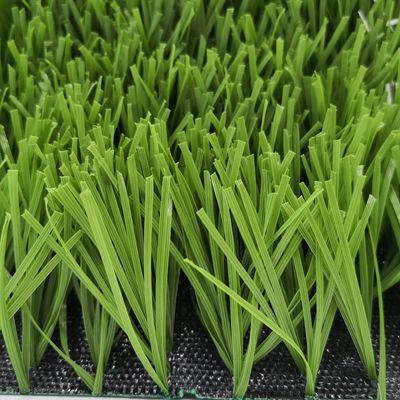 Voetbalveld W-vorm Bi-color UV-bestendige PE-monofilament kunstgras
