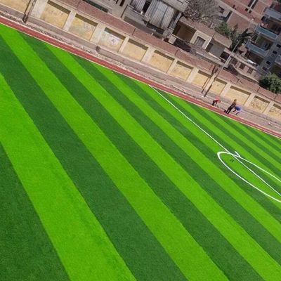 Voetbalveld W-vorm Bi-color UV-bestendige PE-monofilament kunstgras