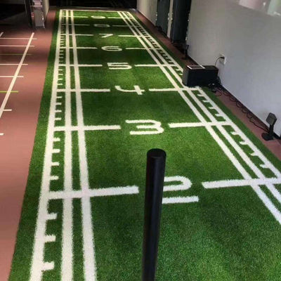 Sport Ander kunstgras Landschap voor golf Voetbalvelden Gym Gras Synthetisch gras