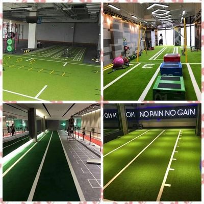 Sportvloeren Fitnessschaal training Kunstgras voor de sportschool