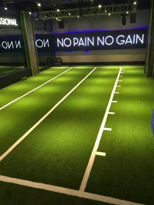 Sportvloeren Fitnessschaal training Kunstgras voor de sportschool