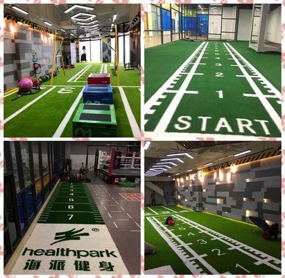 PP 52500 Density Gym Flooring Turf voor trekslee en gym gemarkeerd kunstgras