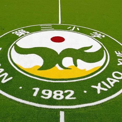PE-PP-steunend kunstgras logo Kleurpatroon Synthetisch gras Mini-voetbal tapijt