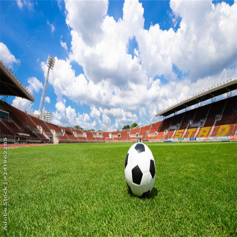 PE Groen mini voetbalveld Kunstgras voetbalveld voor voetbalvloeren
