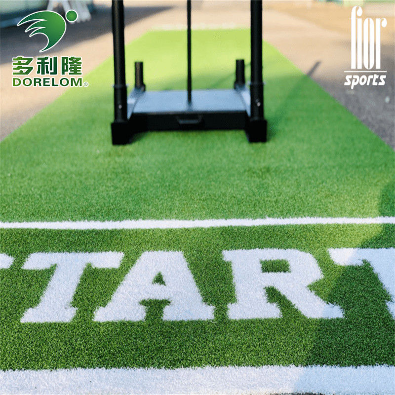 Tuin Sport Gym vloer mat met Dorelom logo aangepast slee track kunstgras
